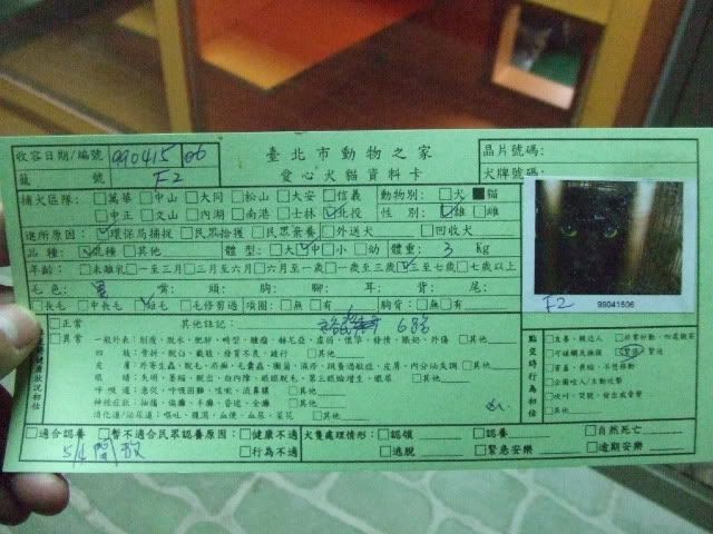 圖檔