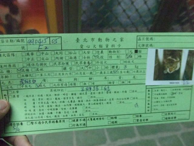 圖檔