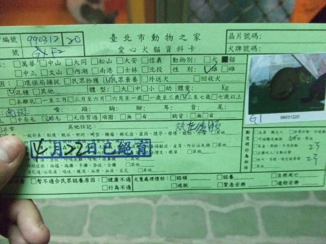 圖檔