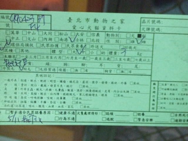 圖檔