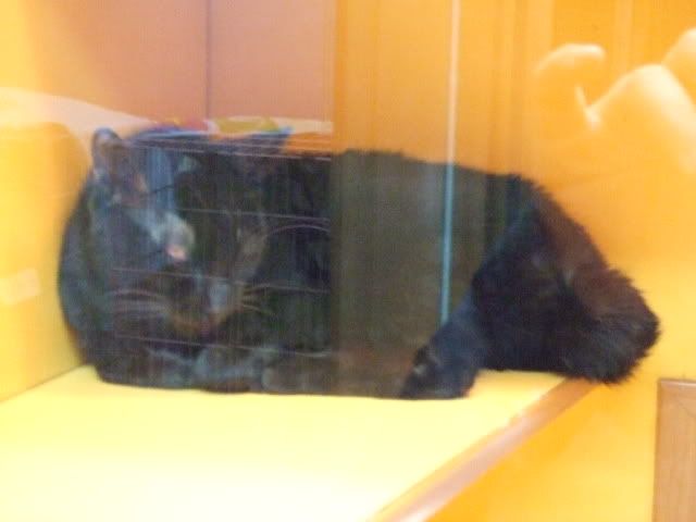 圖檔