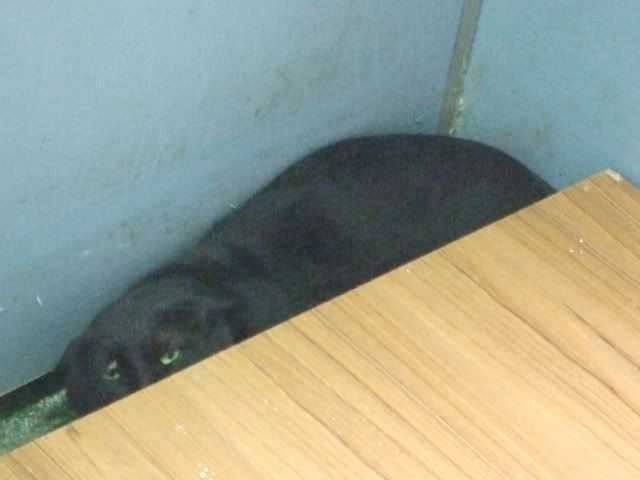 圖檔