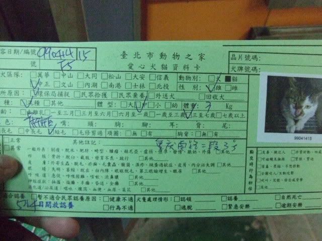 圖檔