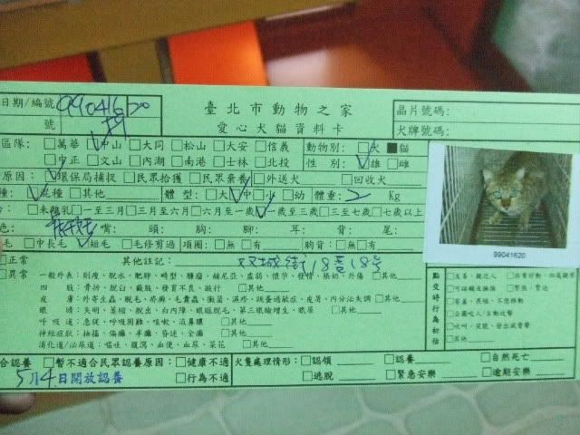 圖檔
