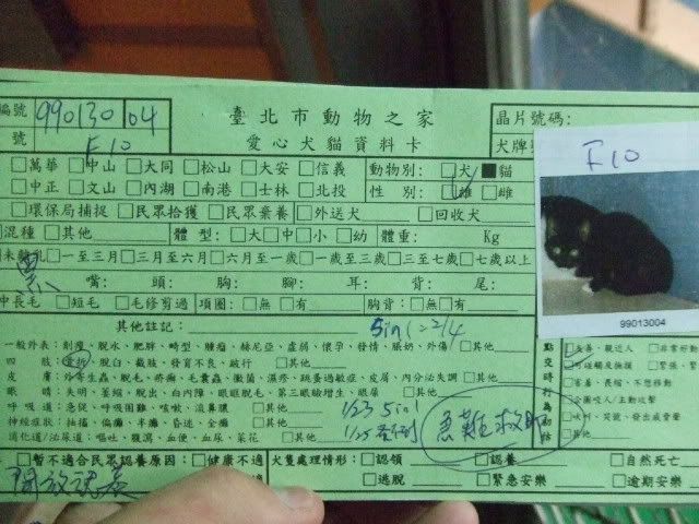 圖檔