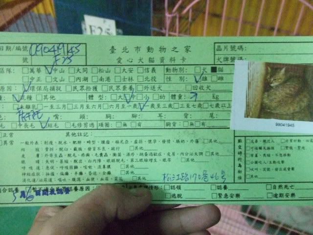 圖檔