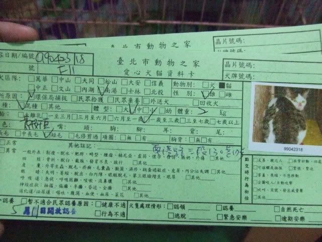 圖檔