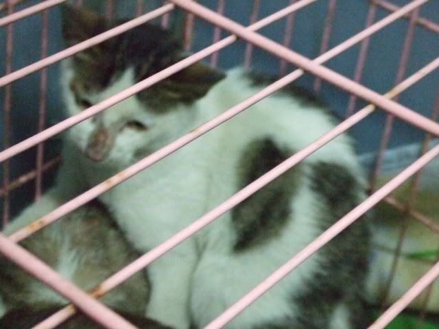 圖檔