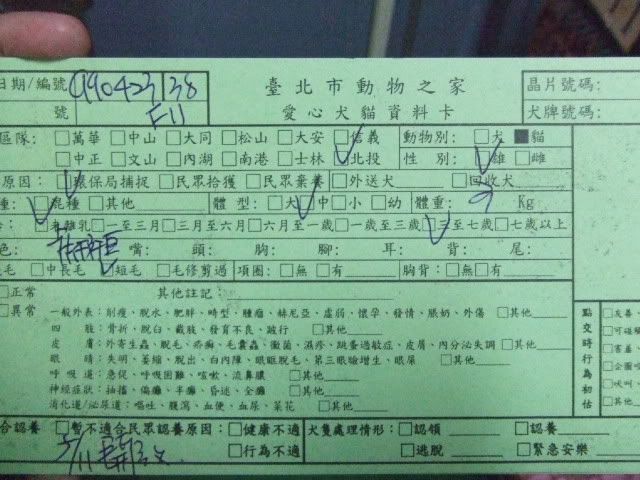 圖檔