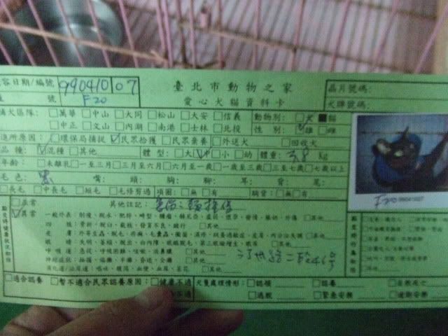 圖檔