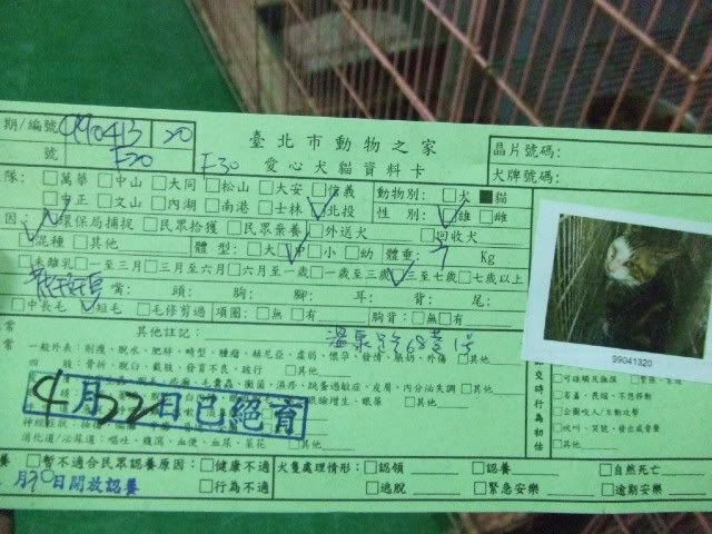 圖檔