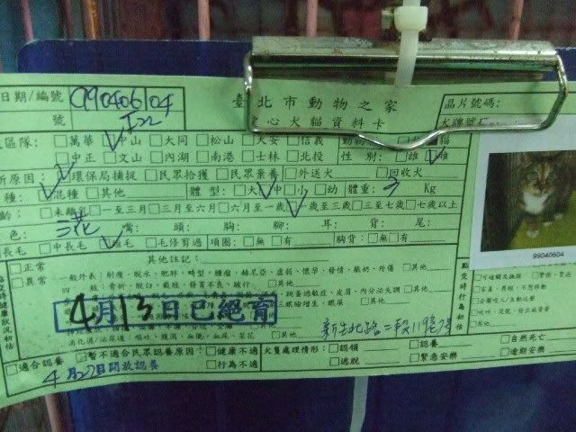 圖檔