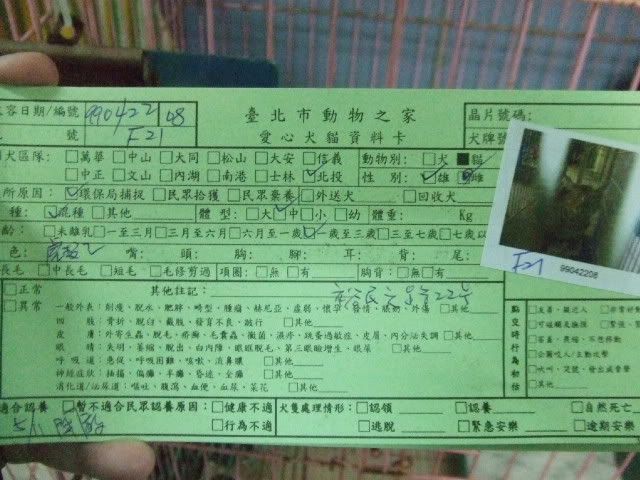 圖檔