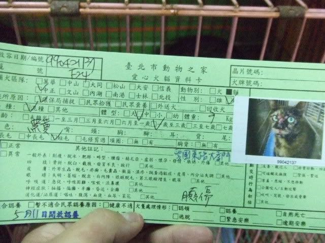 圖檔