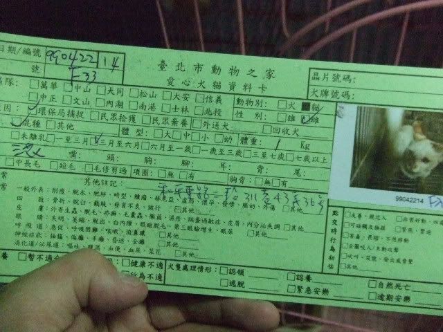 圖檔