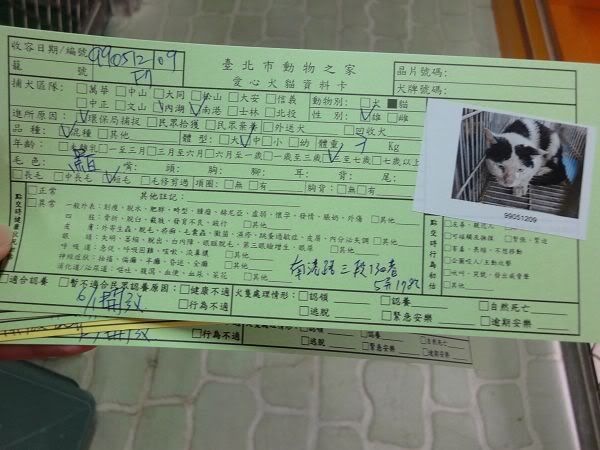 圖檔