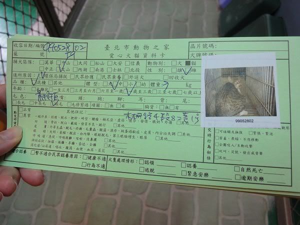 圖檔