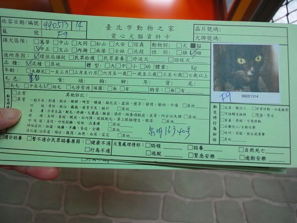 圖檔