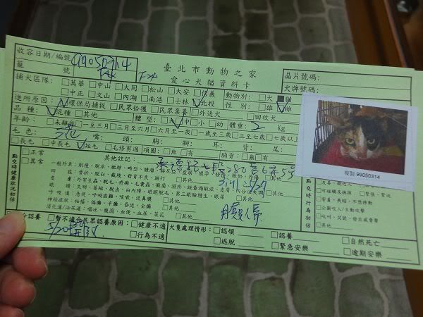 圖檔