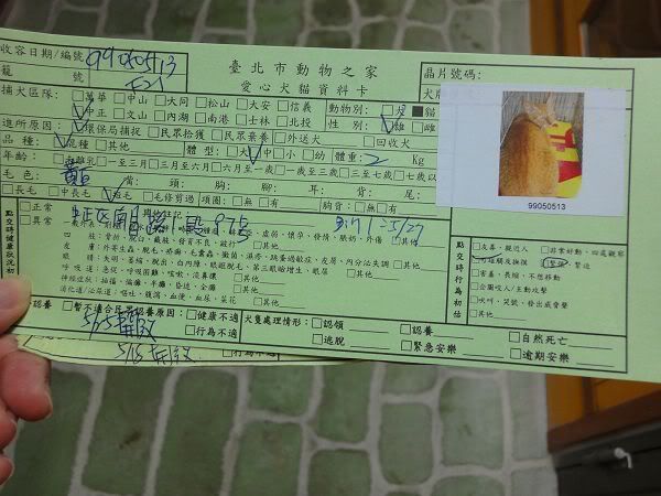 圖檔