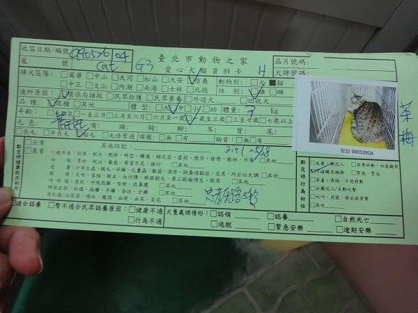 圖檔