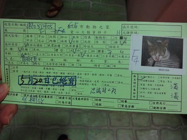 圖檔