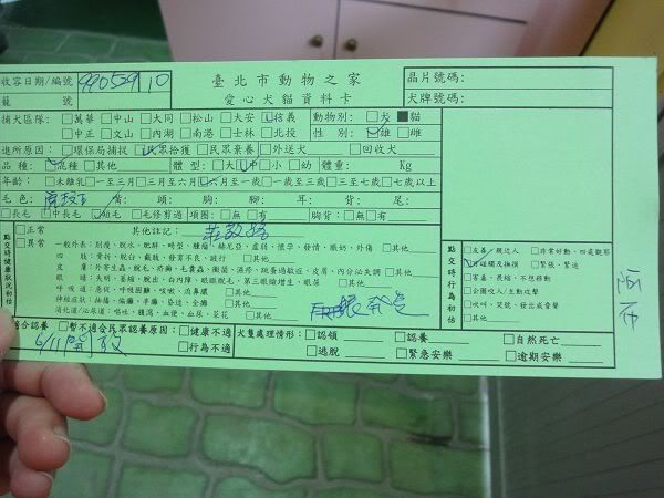 圖檔