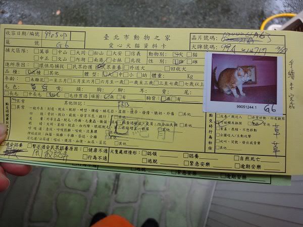 圖檔