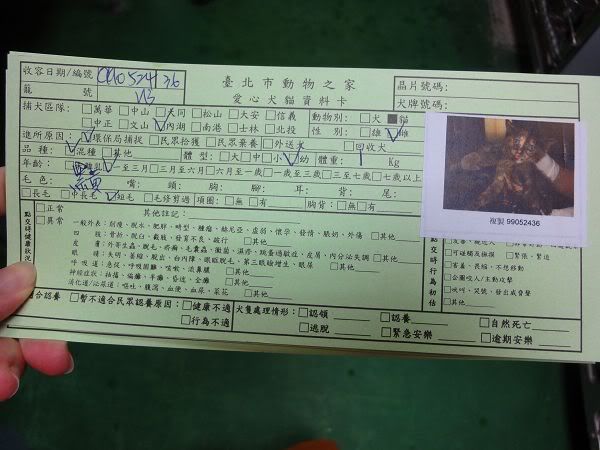 圖檔