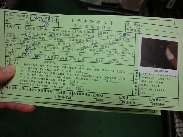 圖檔