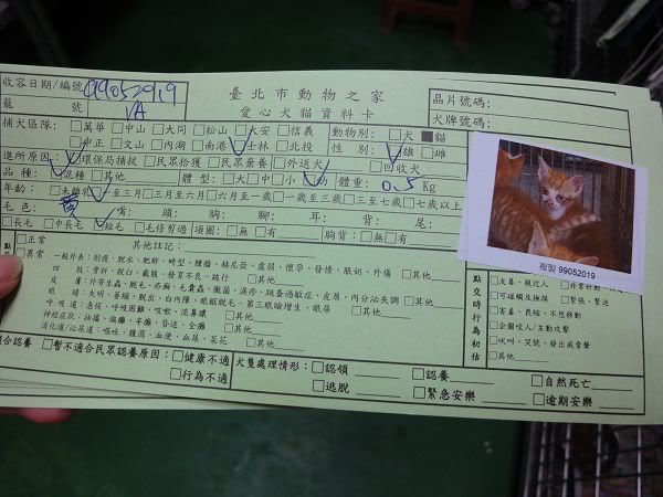 圖檔