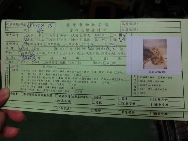 圖檔