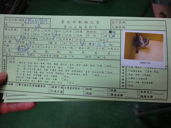 圖檔