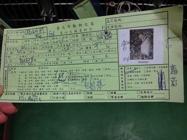 圖檔