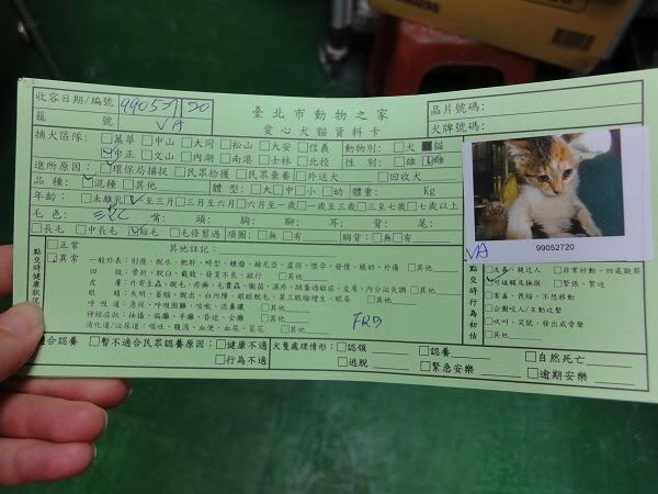 圖檔