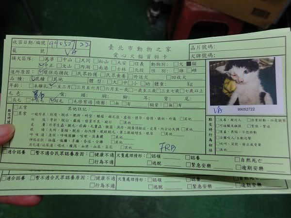 圖檔