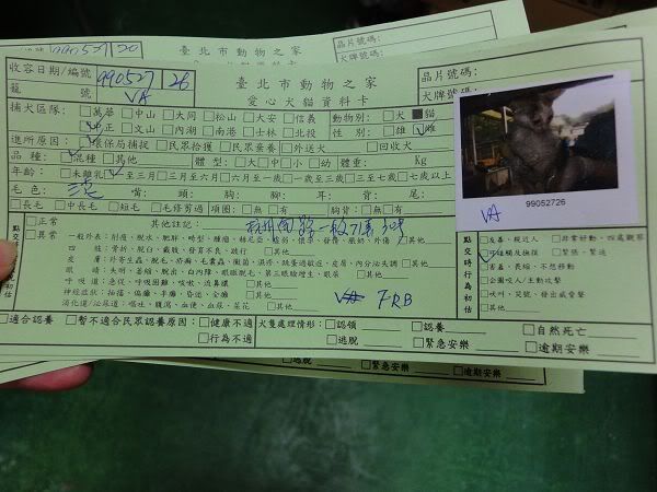 圖檔