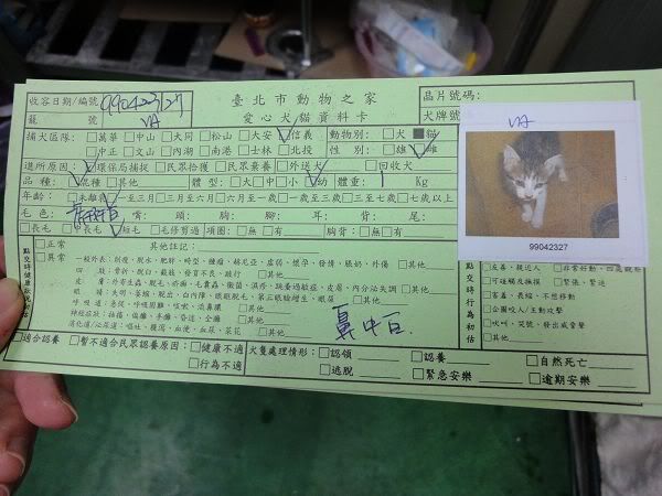 圖檔