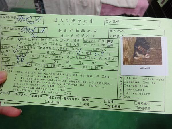 圖檔
