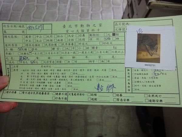 圖檔