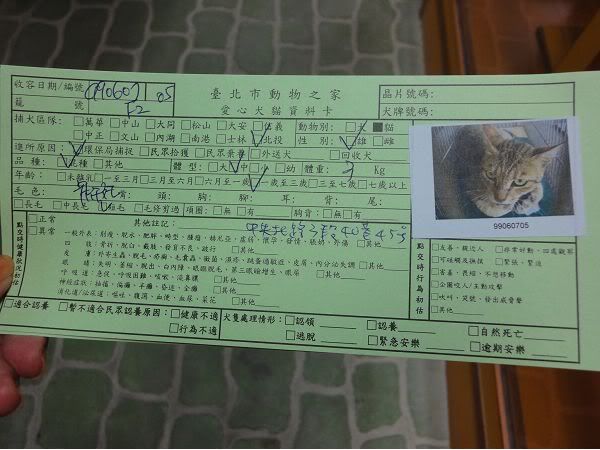 圖檔