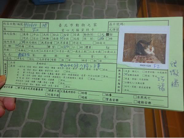 圖檔