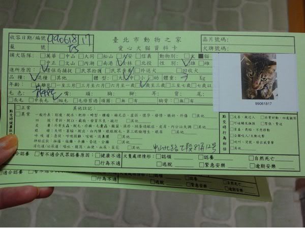 圖檔