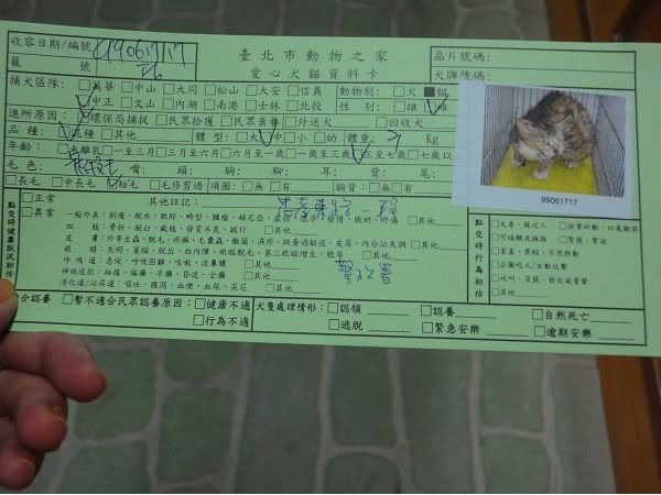 圖檔