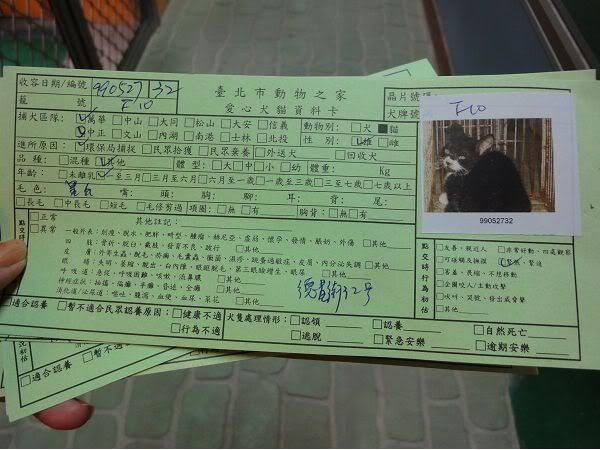 圖檔