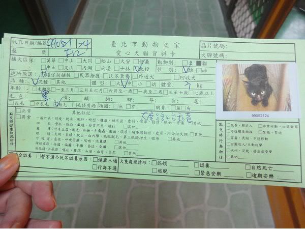 圖檔