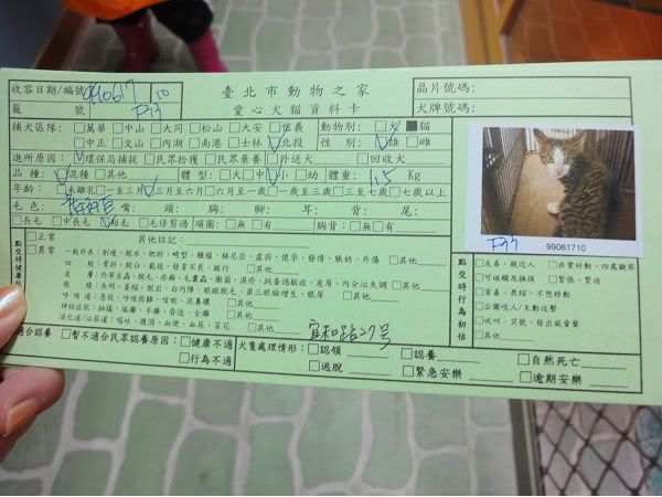 圖檔