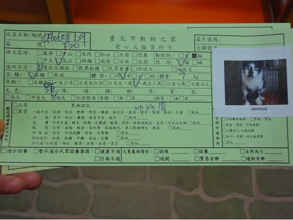 圖檔