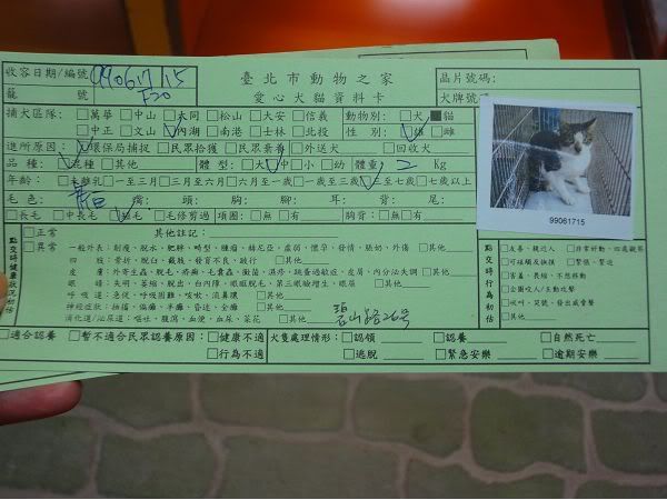 圖檔