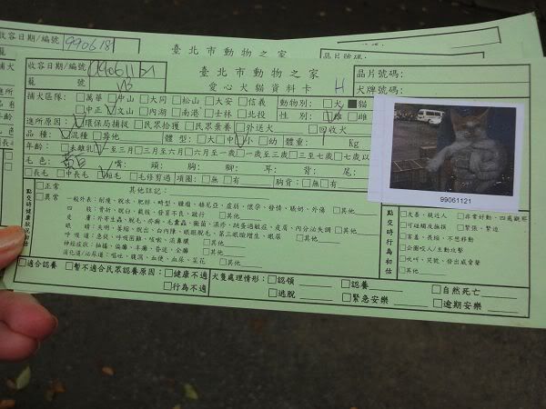 圖檔